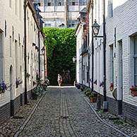 Alley at the Small Beguinage / Klein Begijnhof of Leuven / Louvain, Belgium