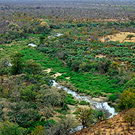 Landscape in the Kruger NP, South Africa