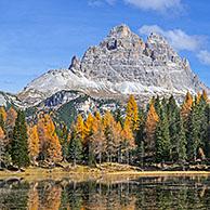 Mountain Drei Zinnen and larch trees in autumn colours around Lake Lago d'Antorno in the Tre Cime Natural Park, Dolomites, South Tyrol, Italy