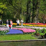 Tourists walking among colourful tulips, hyacinths and daffodils in flower garden of Keukenhof, the Netherlands